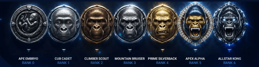 Allstars.io Casino Loyalty Program
